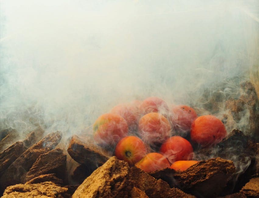 Langtidsstekte plommetomater