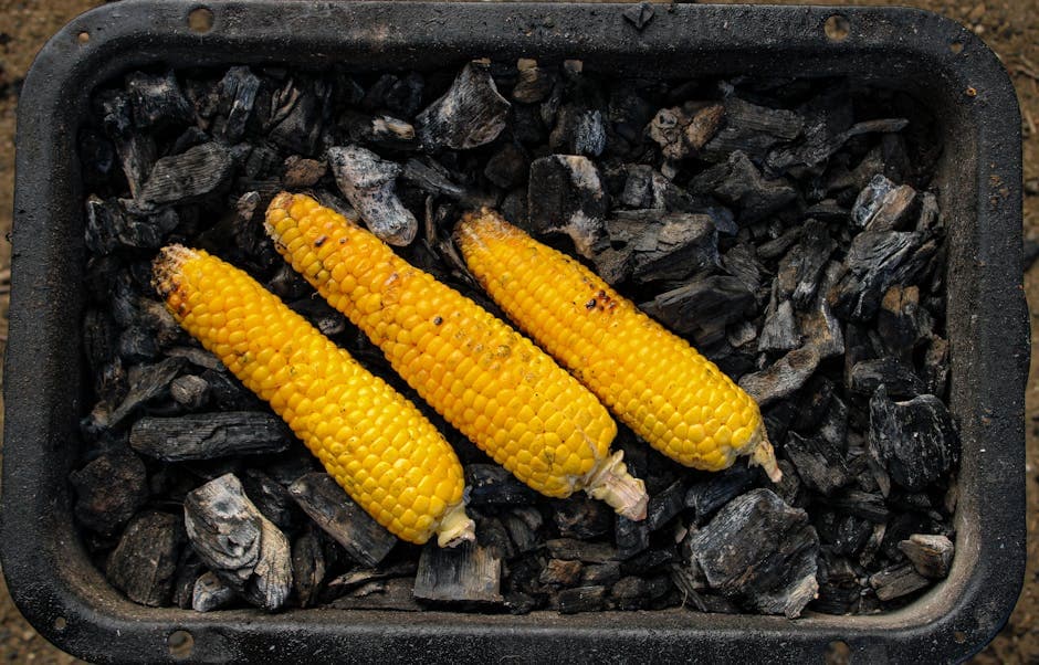 Maiskolber røstet i glør