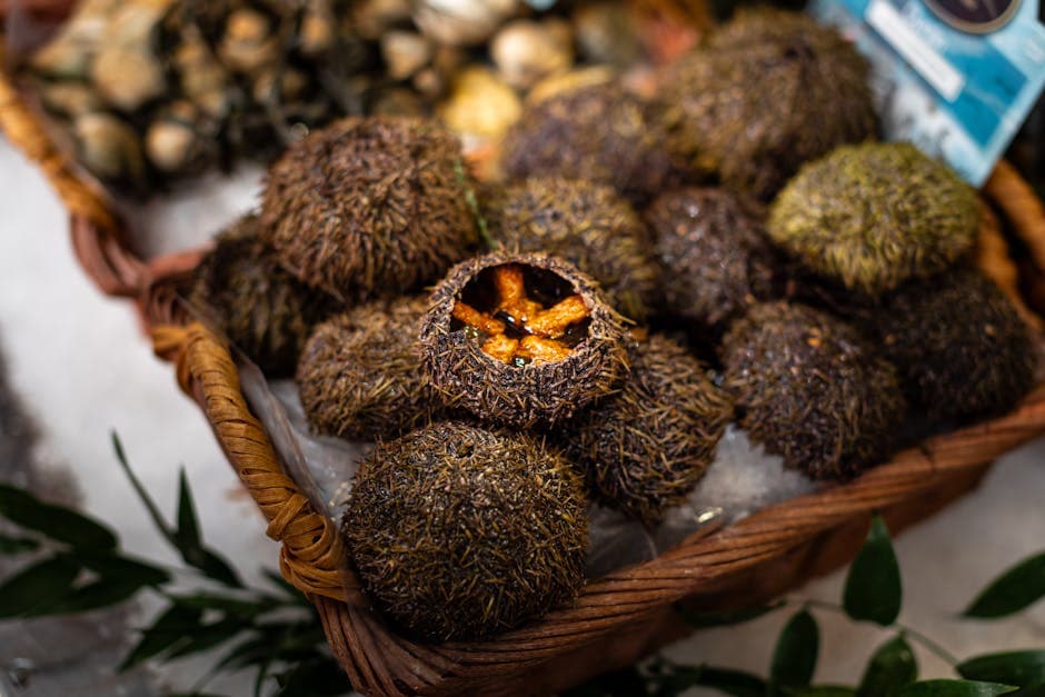 Sjøpungmousse med ingefærvinaigrette