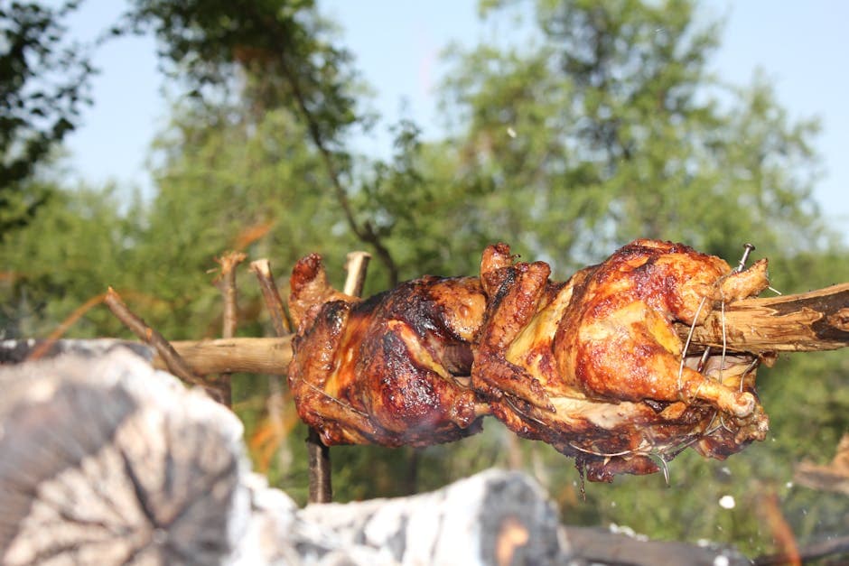 Helstekt kylling på spidd over glør
