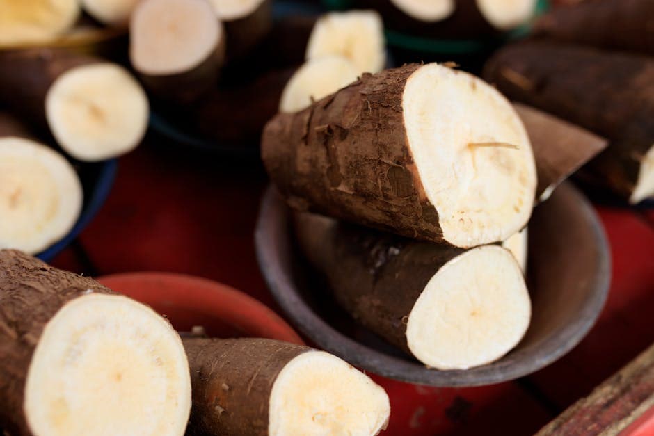 Bammies (karibiske kassavabrød)