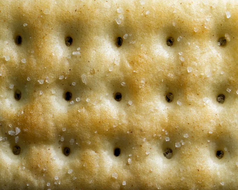 Hjemmelagde salte kjeks (soda crackers)