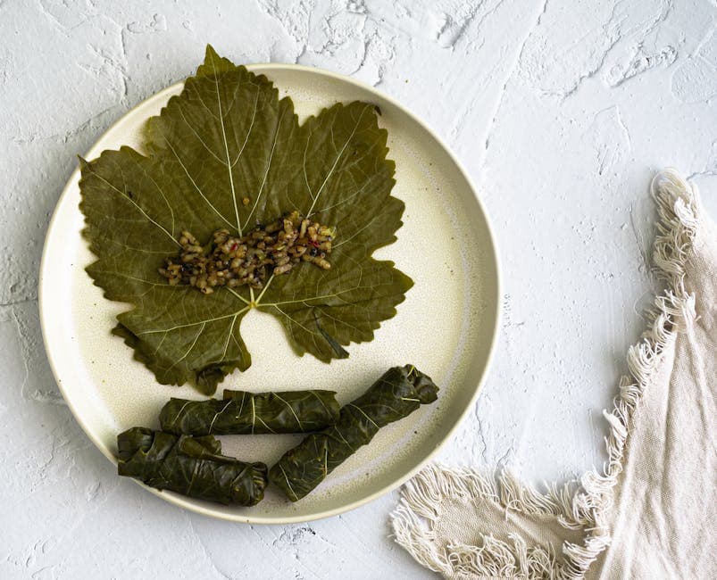 Dolma med kjøttdeig og ris i drueblader