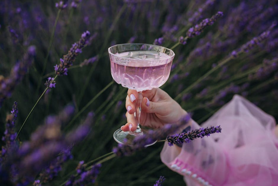 Bellini med fersken og lavendel