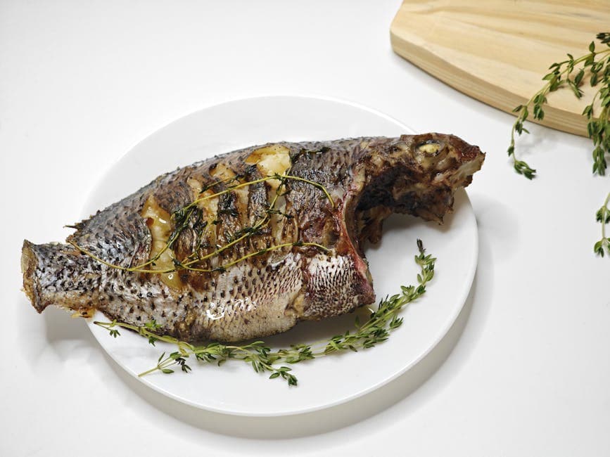 Grillet tilapia med parmesan og urter