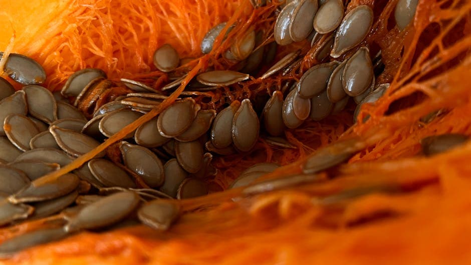 Søte og krydrede gresskarkjerner