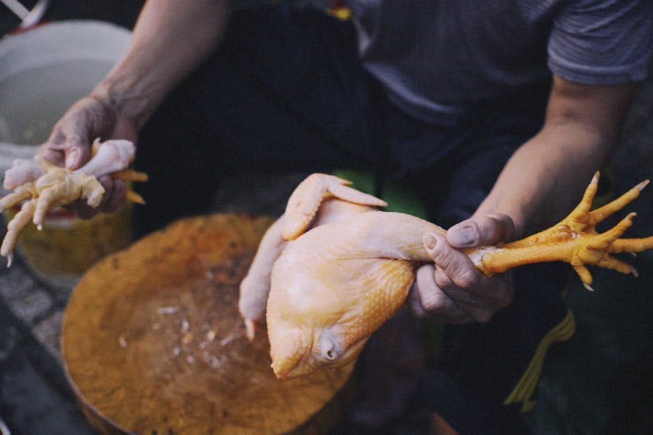 Hvordan partere en hel kylling