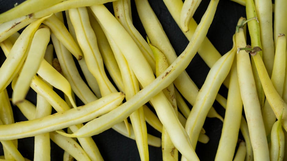 Grønne bønner med appelsin og gressløk