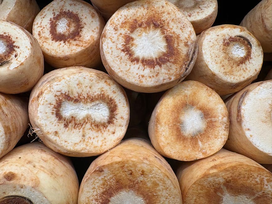 Pastinakk- og potetlatkes med kanel-eplesaus