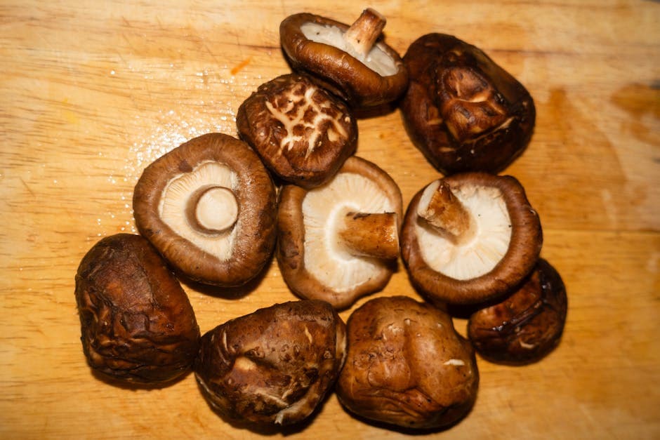 Braiserte shiitake med rekefyll
