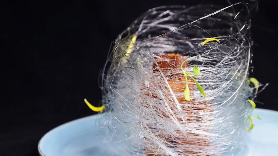 Sukkerbur (Sugar Cage) med Jacques Torres