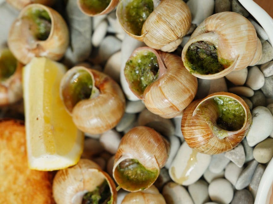 Escargot i skall med urtesmør