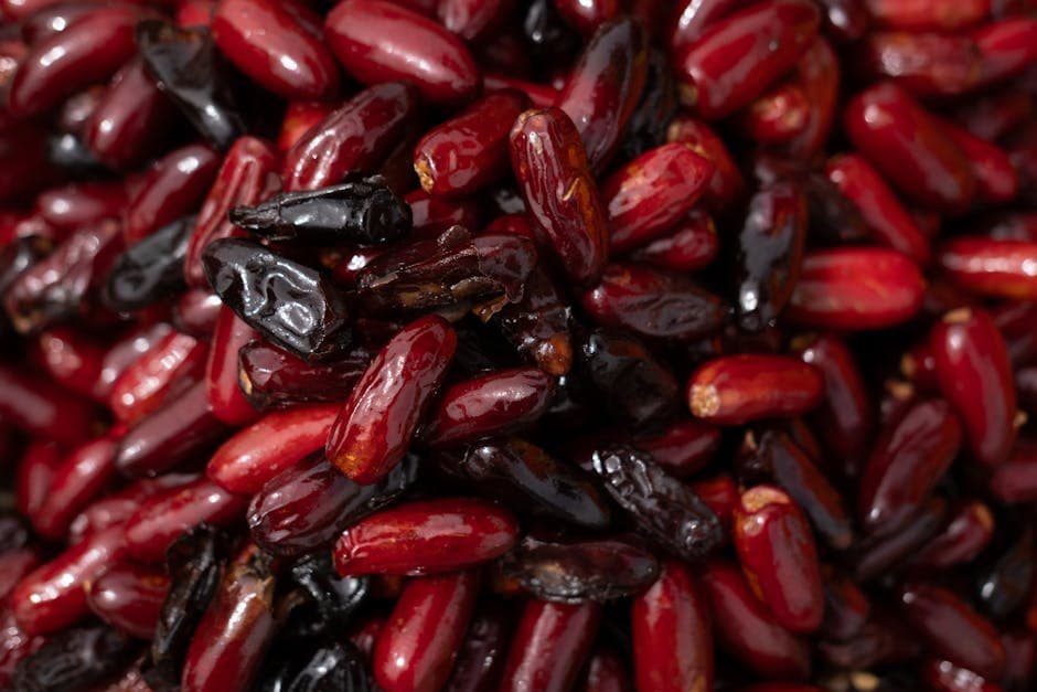 Fylte dadler med chorizo og bacon