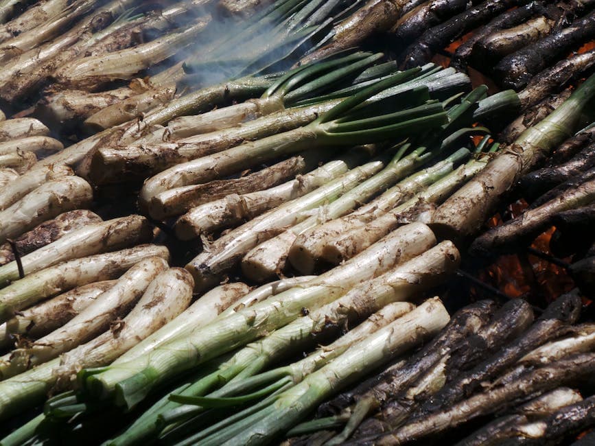 Grillede purre med estragonvinaigrette