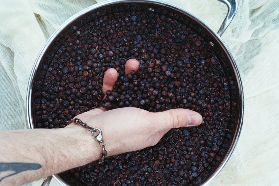 Kirsebær- og einerbærmarmelade