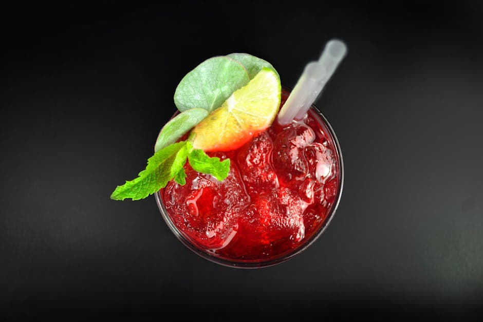 Forfriskende tranebærmojito