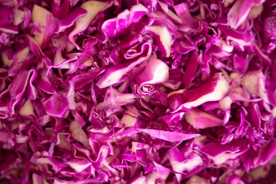 Rødkålsalat med varm pancetta- og balsamico-dressing